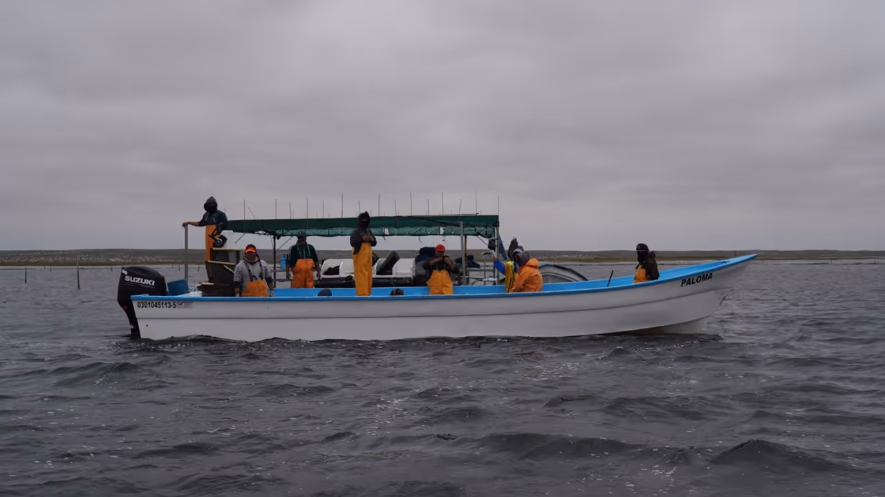 Pesca deportiva en San Felipe